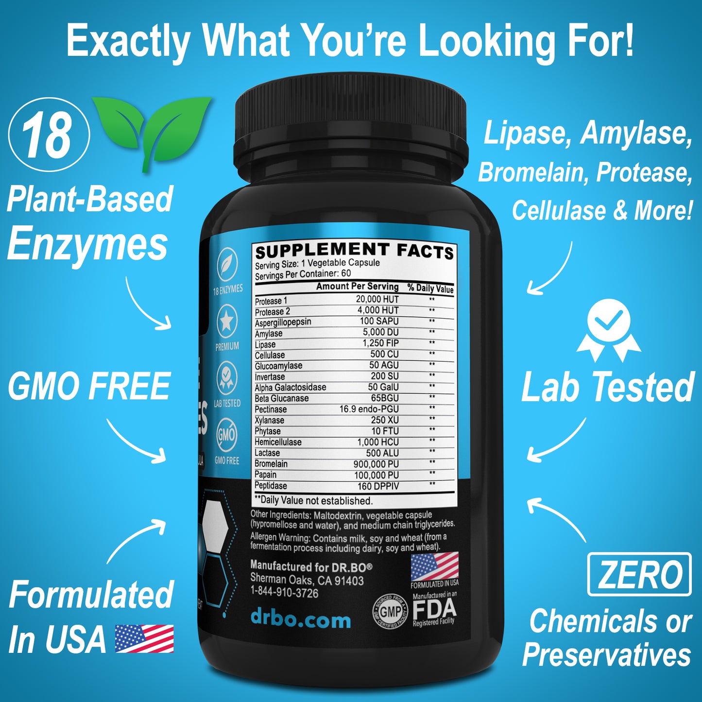 Digestive Enzymes