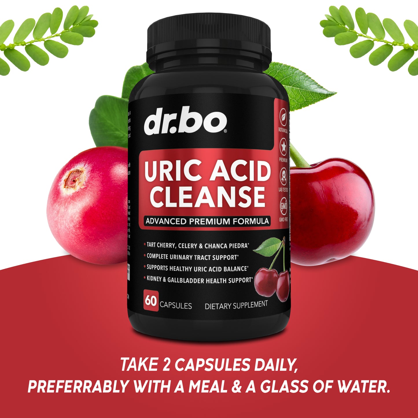 Uric Acid Cleanse