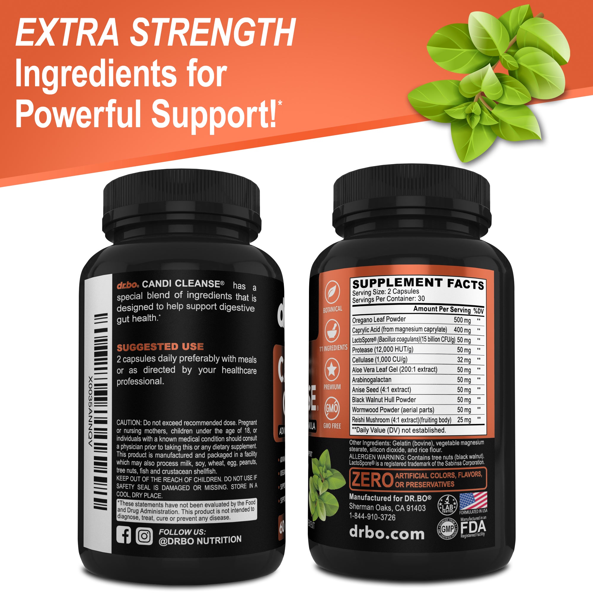 Candi Cleanse