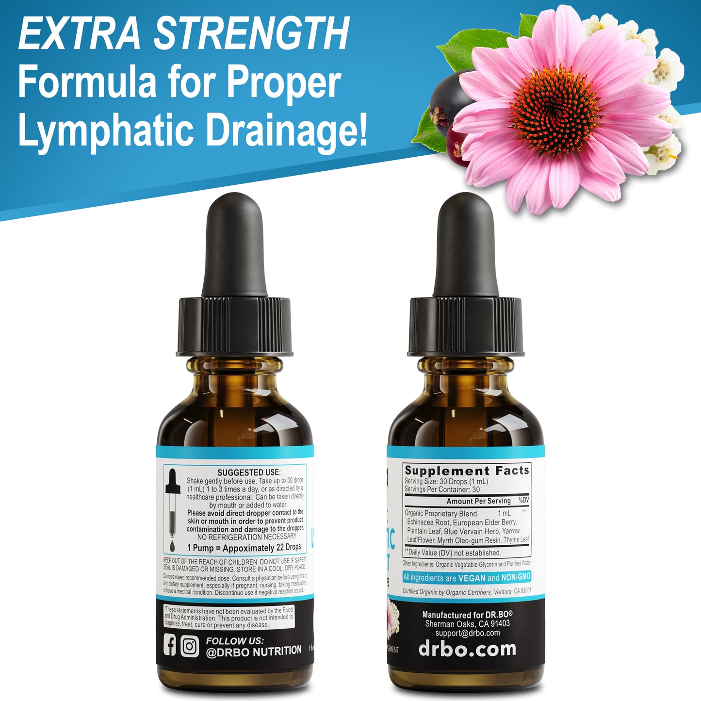 Lymphatic Support Liquid Drops