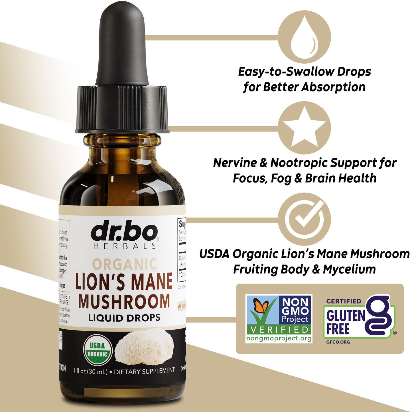 Lion's Mane Mushroom Liquid Drops