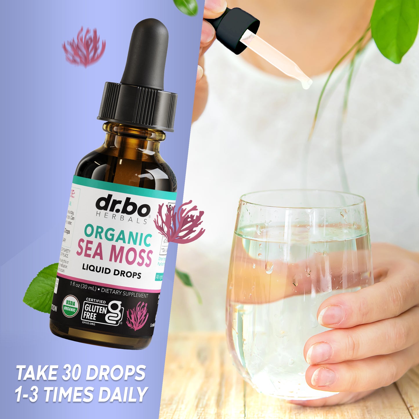 Sea Moss Liquid Drops