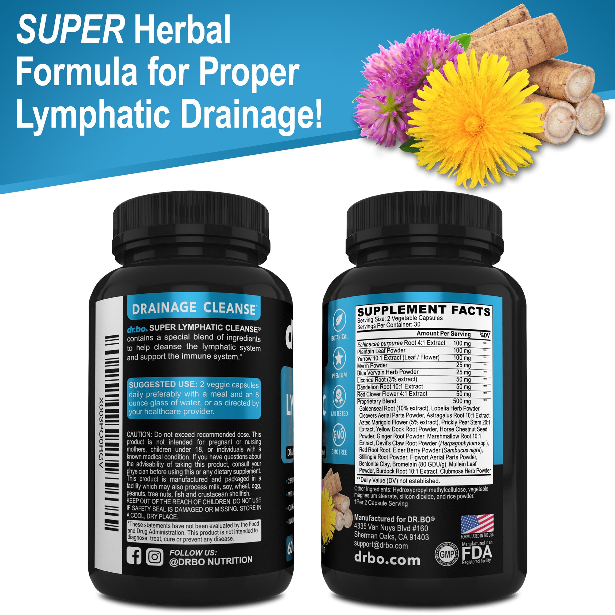 Super Lymphatic Cleanse