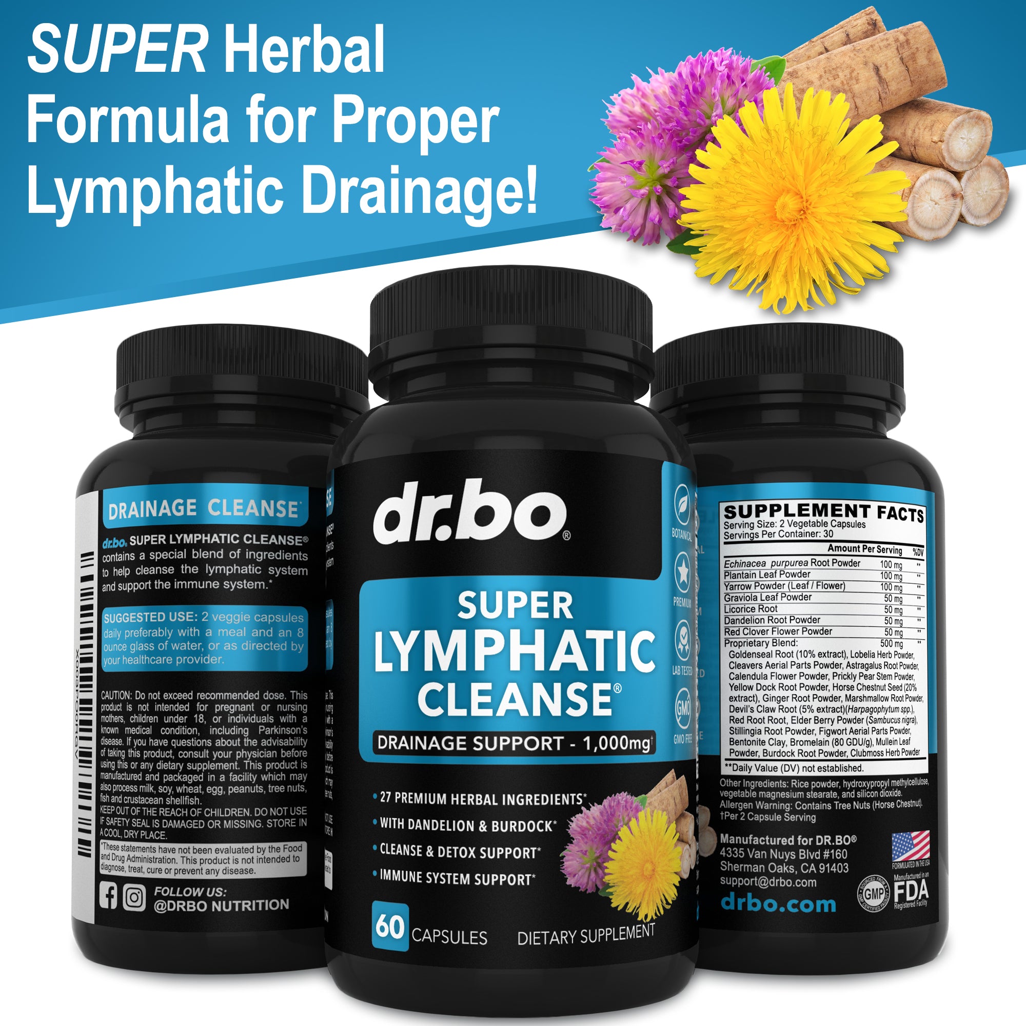 Super Lymphatic Cleanse – DR.BO