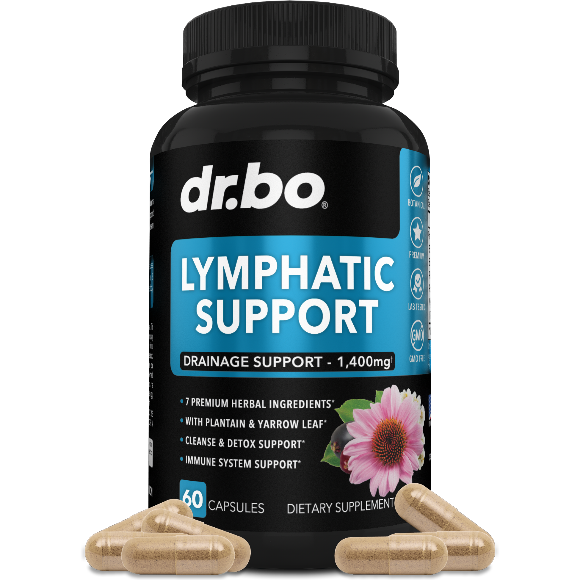 Lsc Support Lymphatic Support – DR.BO